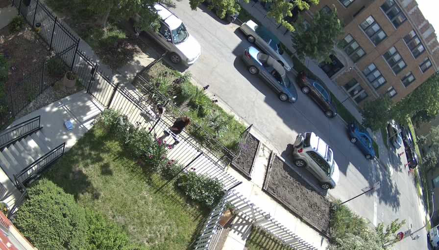 Reolink Camera Two_01_Reolink Home Hub One_20260529094720.jpg